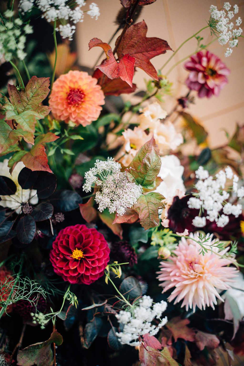 colourful flowers by the flower society